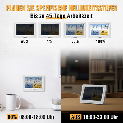 Funk-Wetterstation WM6