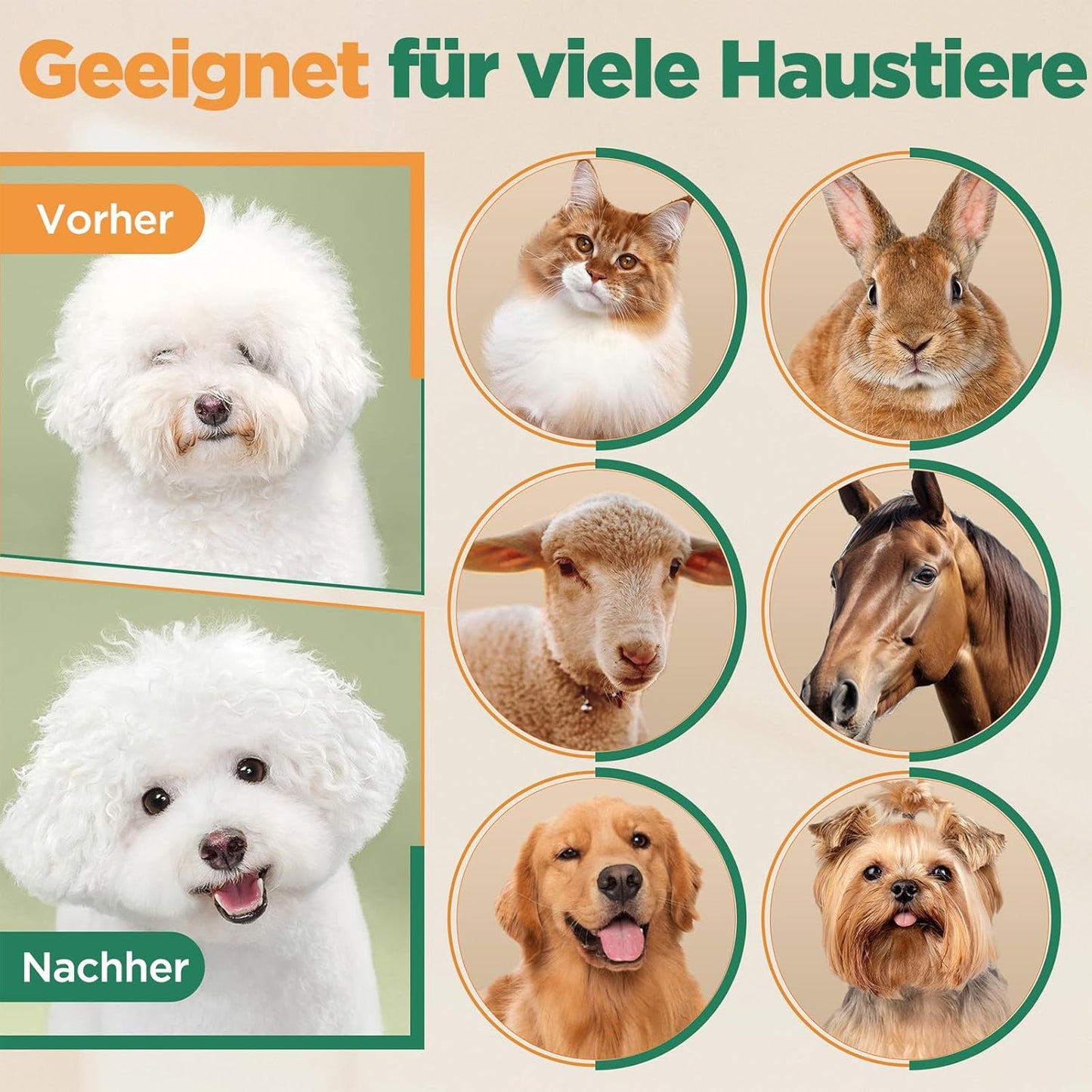 6-in-1 Hundeschermaschine mit Scherenset, 7000 U/min, 6-in-1 Schermaschine + Profi Scherenset Gold
