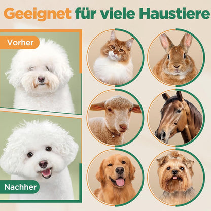 6-in-1 Hundeschermaschine mit Scherenset, 7000 U/min, 6-in-1 Schermaschine + Profi Scherenset Gold