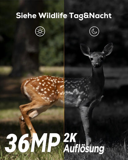 iG200 Wildkamera mit Bewegungsmelder und Nachtsicht, Camouflage