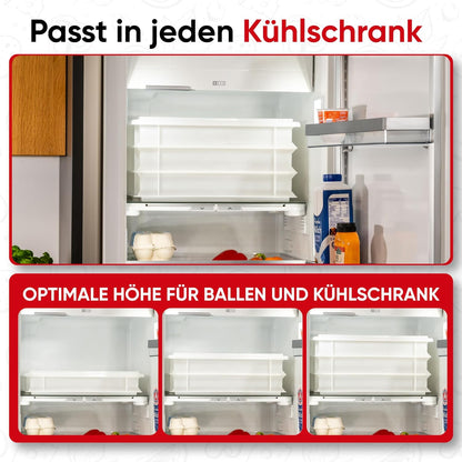 Pizzaballenbox für Pizzateig (2 Boxen + 1 Deckel), 2 x Gusto mit 1 Deckel
