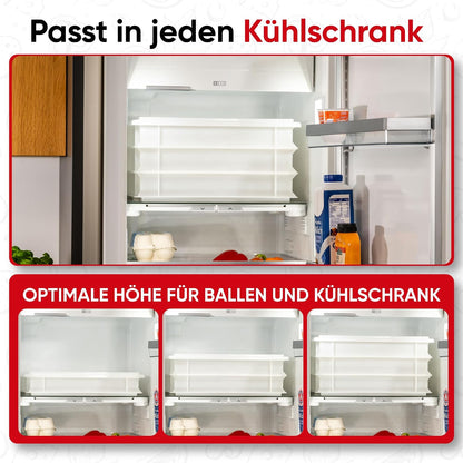 3-teiliges Pizzaballenbox-Set Gusto, 3x Gusto Box + 1x Deckel