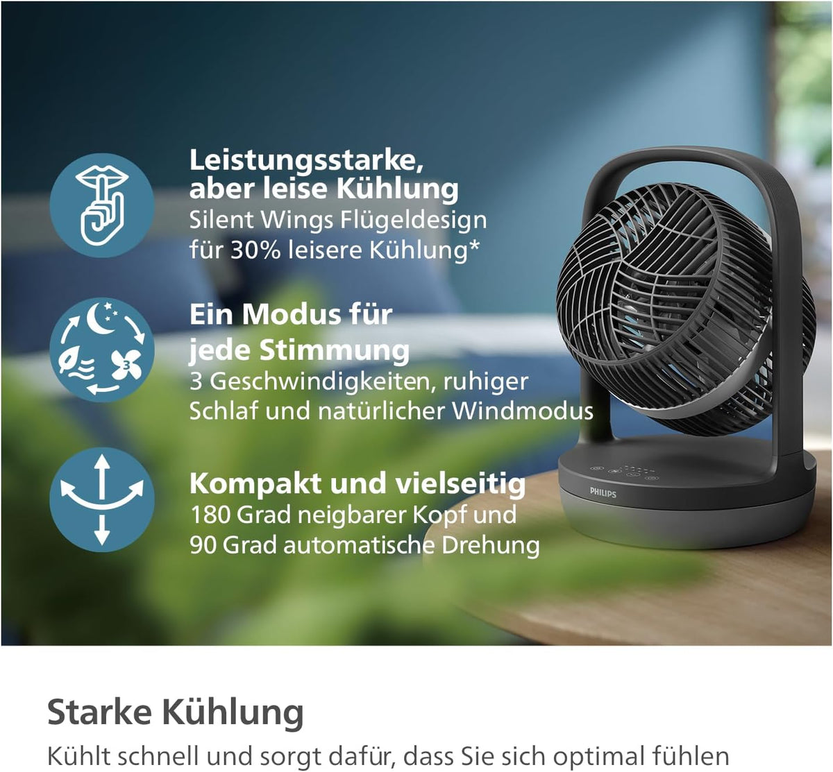 CX3050/01, Tischventilator schwarz + Rotation