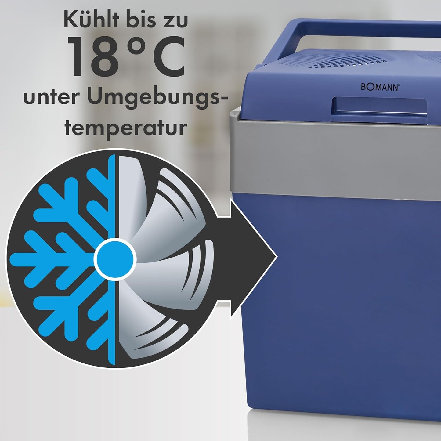Auto-Kühlbox (12V/230V), 28 Liter