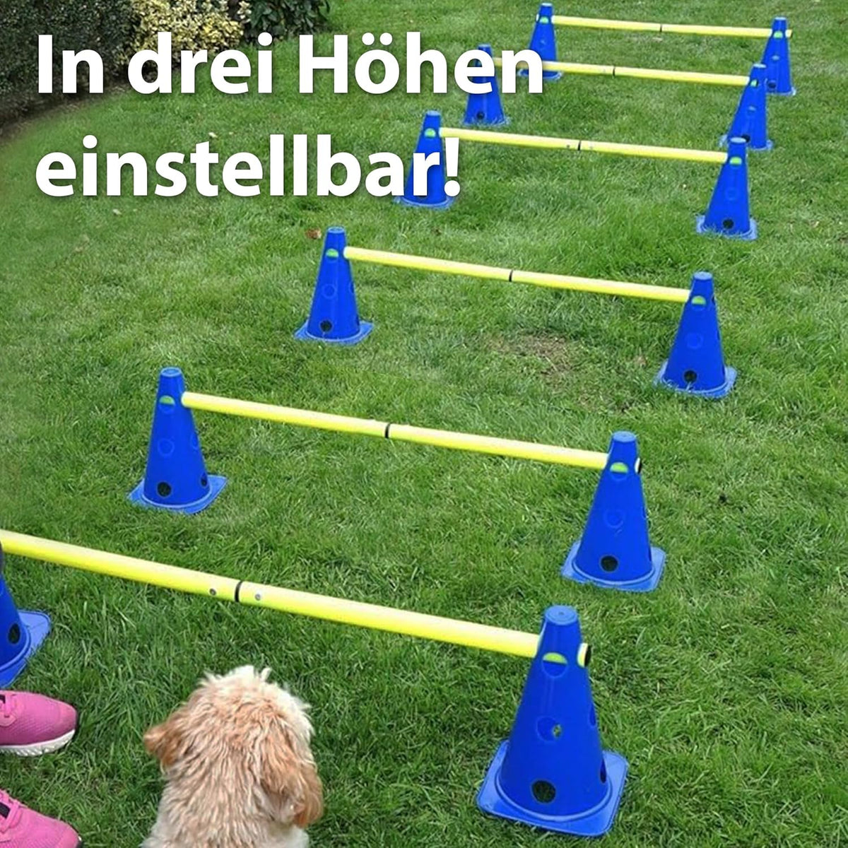 Steckhürdenset mit Hürden und Kegeln, 6 Steckhürden mit 3 Stangen