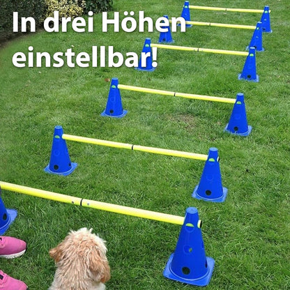 Steckhürdenset mit Hürden und Kegeln, 6 Steckhürden mit 3 Stangen