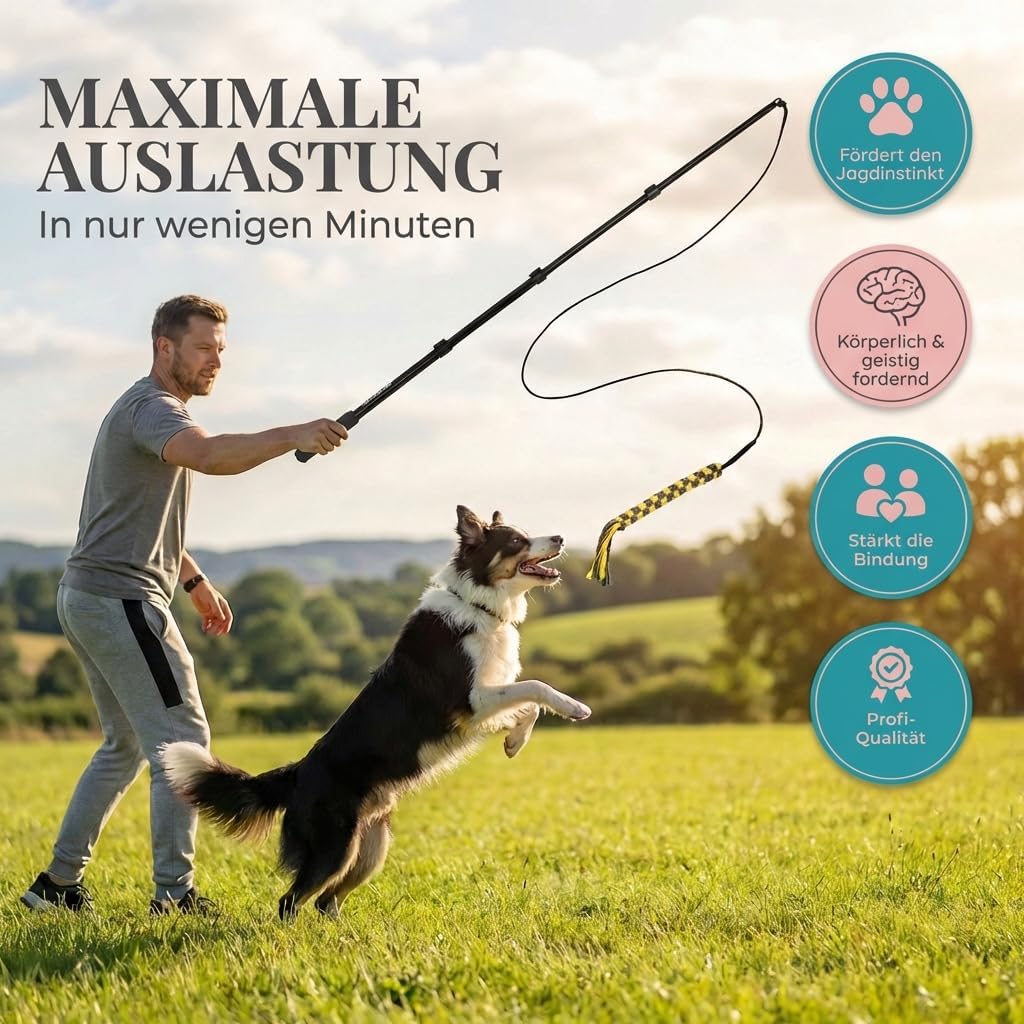 Reizangel-Set für Hunde, Reizangel 151cm + Seile 140cm Schwarz
