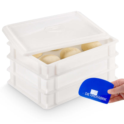 3-teiliges Pizzaballenbox-Set Gusto, 3x Gusto Box + 1x Deckel
