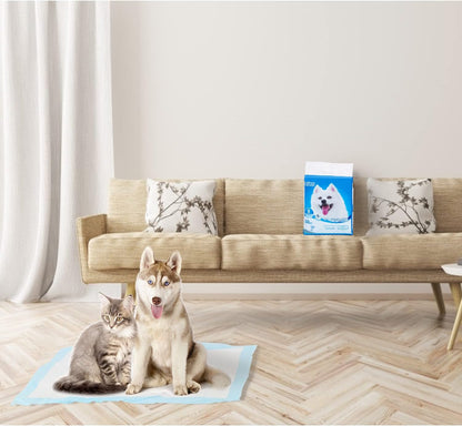 50er-Pack Trainingsunterlagen für Hunde, 60 x 40 cm Wei?