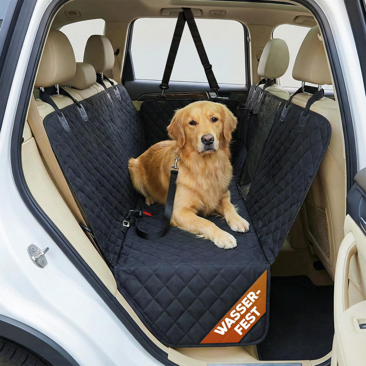 Autoschondecke für Hunde