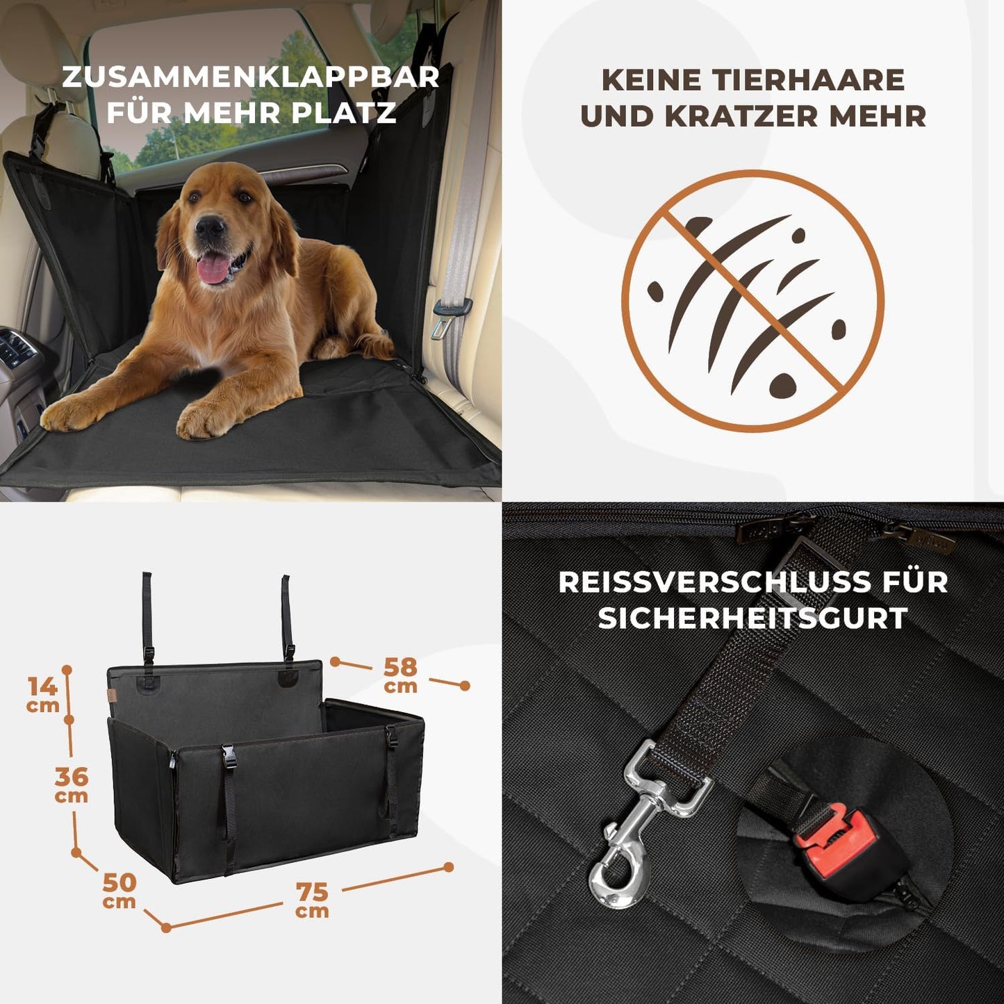 Autositz