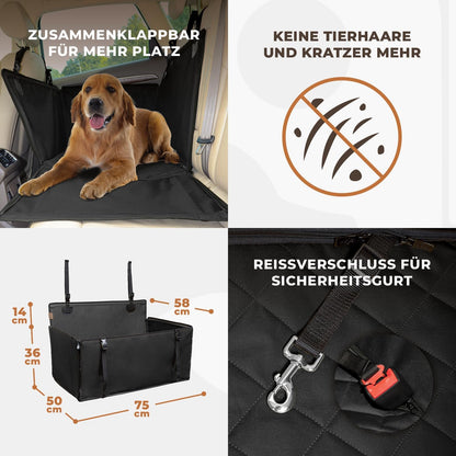 Autositz