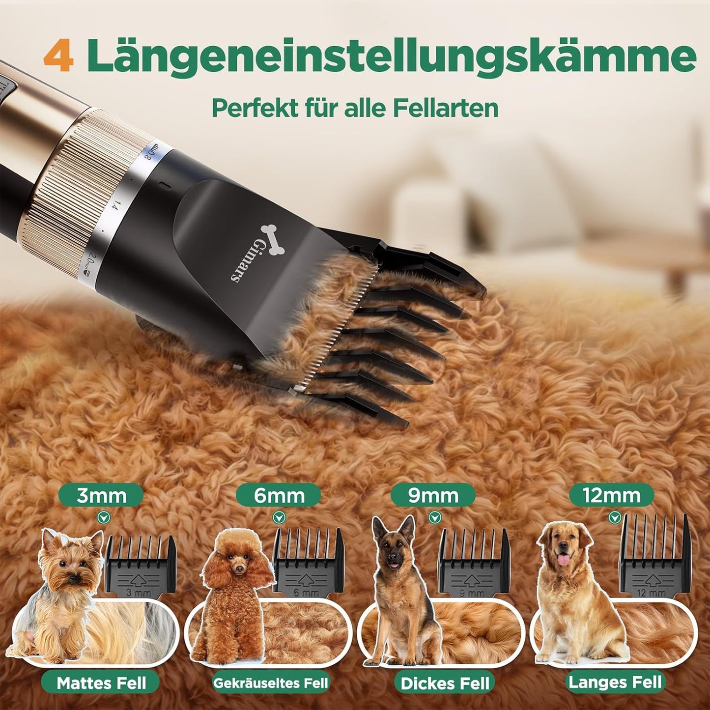 6-in-1 Hundeschermaschine mit Scherenset, 7000 U/min, 6-in-1 Schermaschine + Profi Scherenset Gold