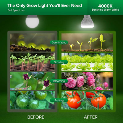 LED Pflanzenlampe Vollspektrum Grow Light, P20 10W-2PACK