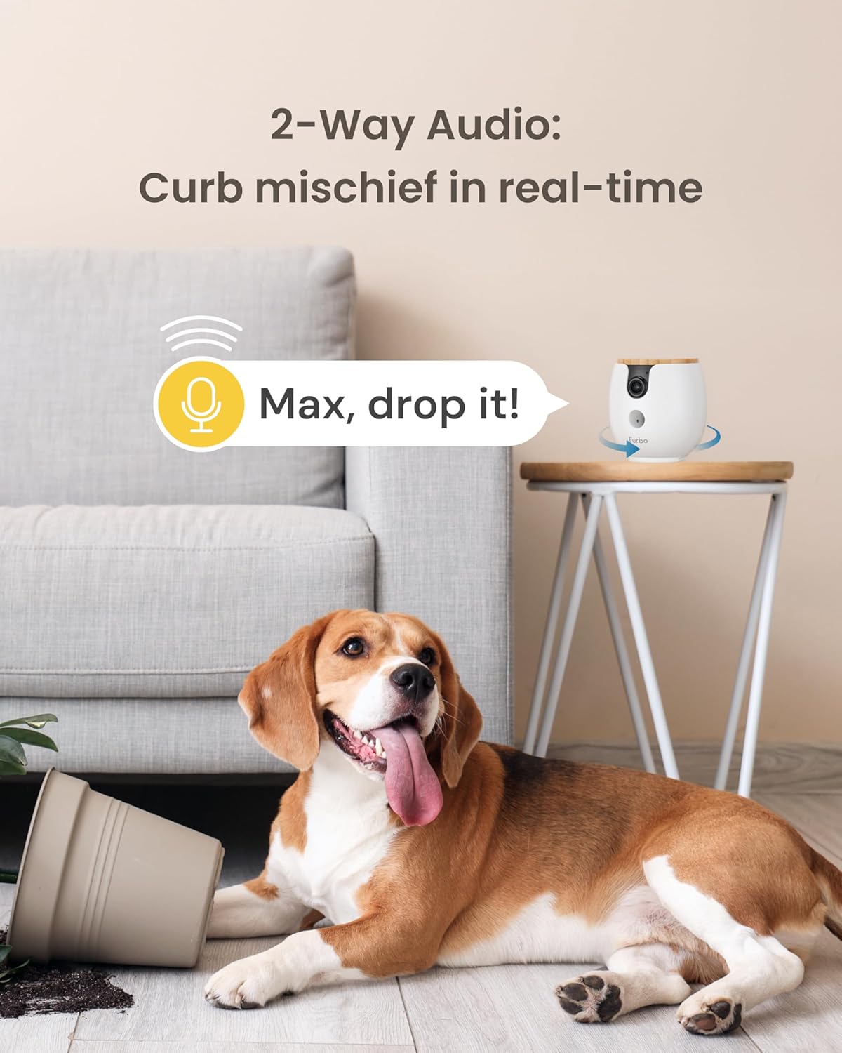 Mini 360 Pet Kamera mit Leckerliausgabe & App-Steuerung, Mini 360 Kamera - Abo optional