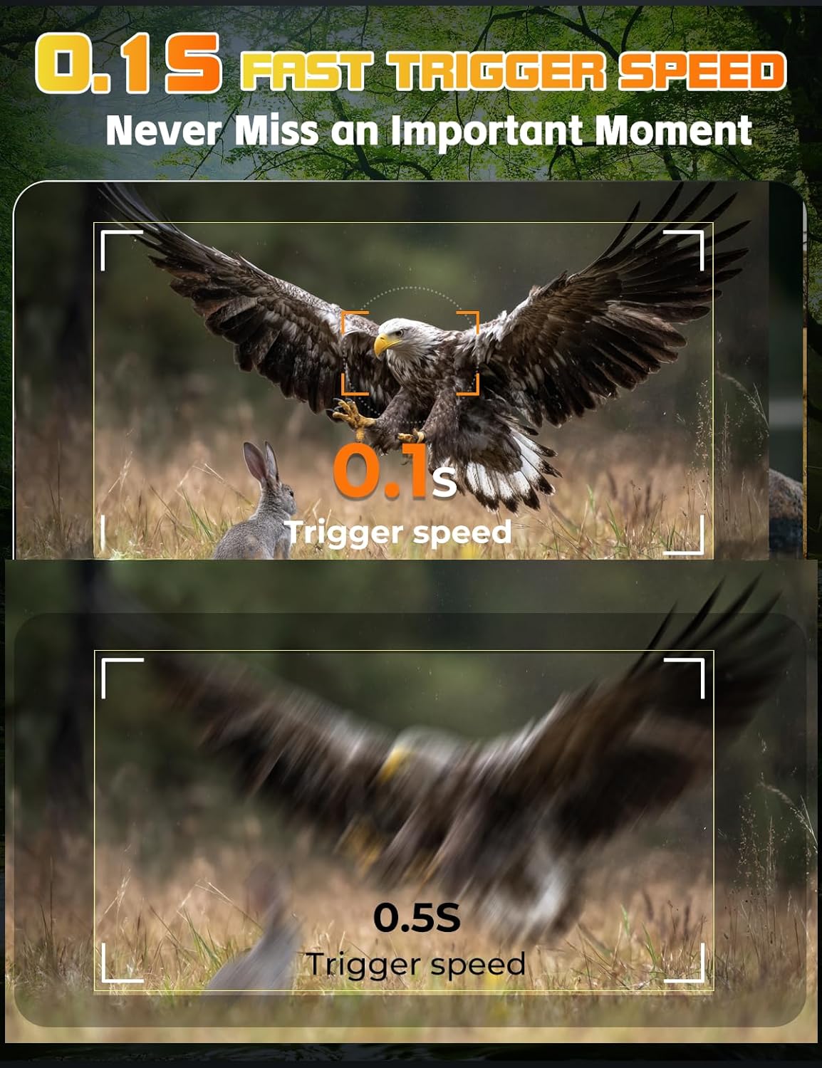 4K Wildtierkamera mit Bewegungsmelder und Nachtsicht