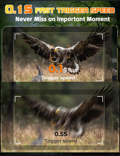 4K Wildtierkamera mit Bewegungsmelder und Nachtsicht